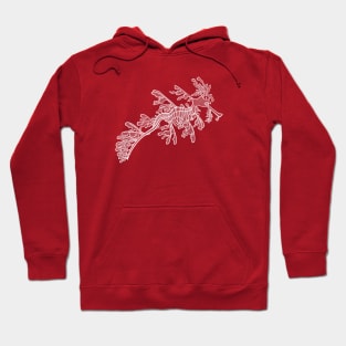 Leafy Seadragon detailed hand drawing Hoodie